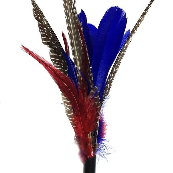 Pet Fit For Life 7 Piece - PLUS BONUS - Replacement Feathers For Interactive Cat - Picture 2 of 8